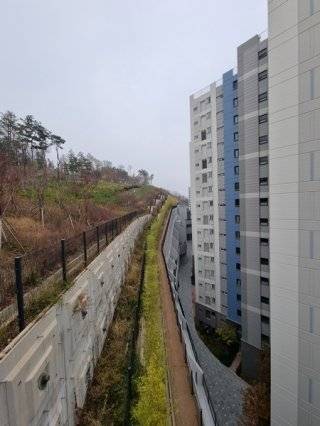 경기 성남시 분당구 백현동의 옛 한국식품연구원 부지에 들어선 아파트 단지. 동아DB