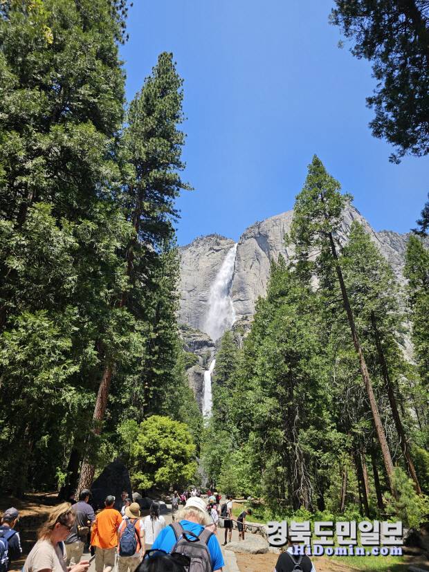 요세미티 폭포를 보고 걸어가는 관광객들.