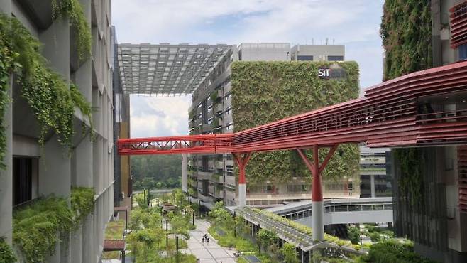 풍골 디지털 혁신지구(PDD) 전경. 붉은색 다리로 모든 건물이 연결되어있으며 도보로 이동할 수 있다. 우수연 기자