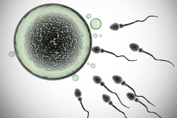 사진=클립아트코리아