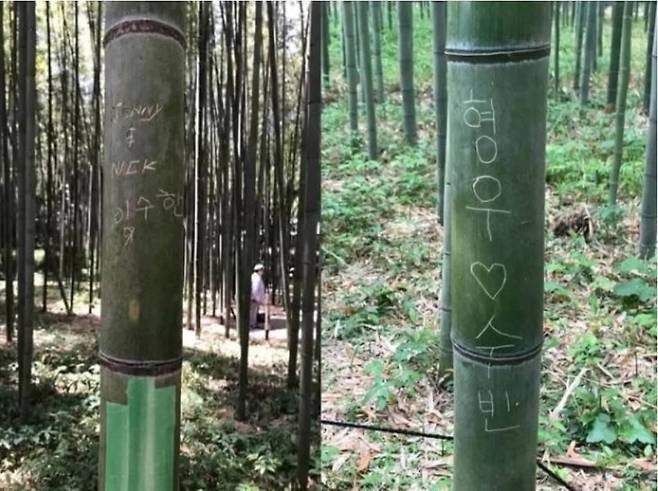 사진=서경덕 교수 제공