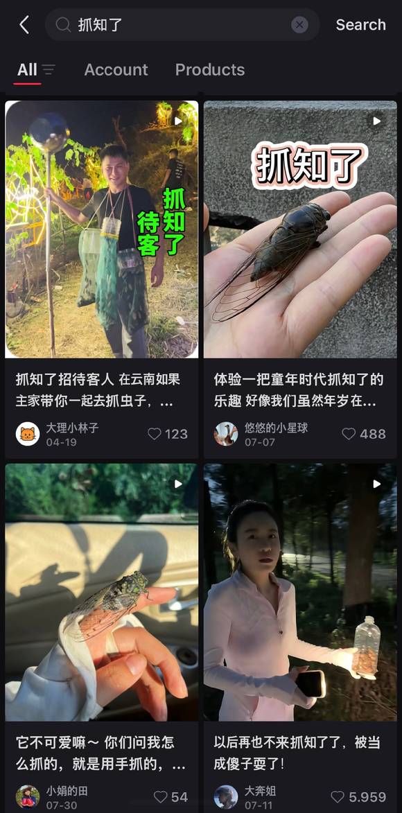 이러한 채집은 중국 온라인에서도 활발히 공유되고 있다. 사진은 중국어로 '매미 잡기'를 검색하면 뜨는 영상. [사진=샤오홍슈]