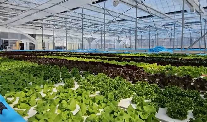 스마트 팜 내부