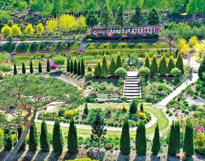 256개 다채로운 색깔 정원 속 트리하우스와 정원 교실이 유명한 괴산트리하우스 전경.  산림청 제공