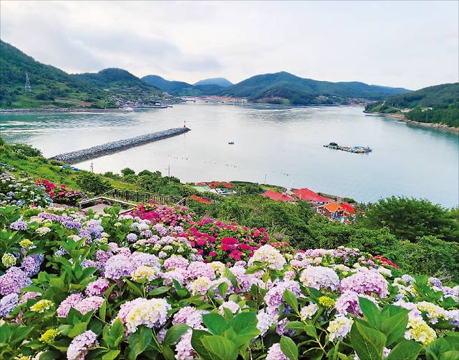 섬으로 가는 뱃길, 원시림을 지나 펼쳐지는 바다 풍경이 자랑인 힐링파크쑥섬쑥섬 전경.  산림청 제공