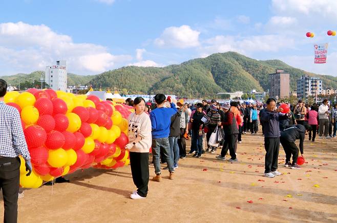 지난해 열린 청송사과축제 ‘황금사과를 찾아라’. 청송군 제공