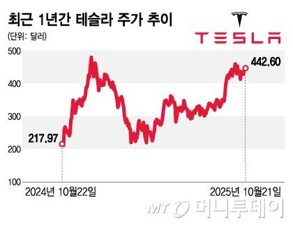 최근 1년간 테슬라 주가 추이/그래픽=김지영