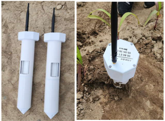 토양 속 질소·인산·칼륨 등 양분 농도를 실시간으로 측정할 수 있는 양분 감지기(센서·왼쪽)와 밭에 설치된 모습. 농촌진흥청 제공