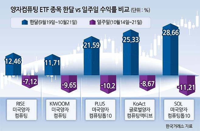 아이온큐·디웨이브 등 급락 ‘과열 해소 국면 진입’ 분석