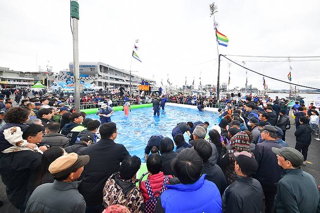 죽변항 수산물축제, 맨손 활어잡기