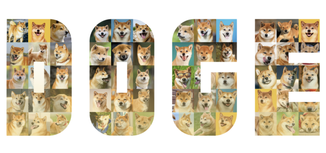 사진 제공=도지코인 공식 홈페이지.