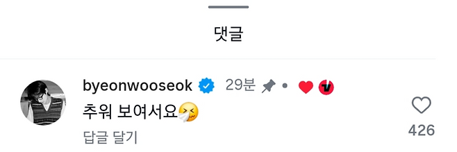 변우석 댓글. 사진|SNS