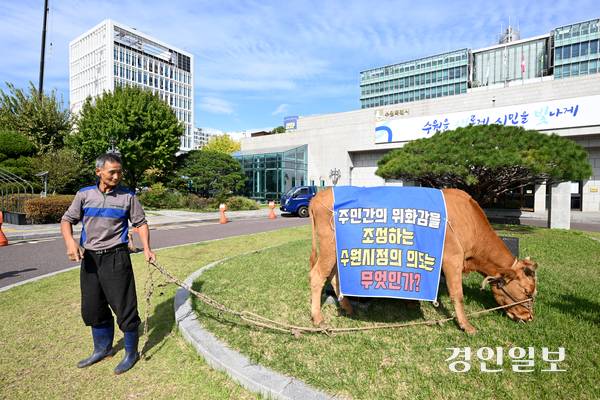 23일 오전 정면채(65)씨가 민원을 제기하기 위해 소를 타고 수원시청에 방문했다. 2025.10.23 /최은성기자 ces7198@kyeongin.com