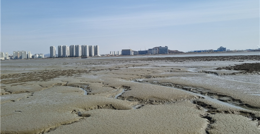 습지보호구역으로 지정된 송도갯벌. [경인방송DB]