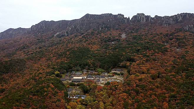 황준성 의병부대가 전열을 정비한 달마산 미황사.해남군 제공