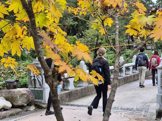 절정에 이른 설악산 단풍을 즐기려는 탐방객들이 23일 강원 속초시 설악산국립공원에서 산행을 즐기고 있다. 2025.10.23/뉴스1 ⓒ News1 윤왕근 기자