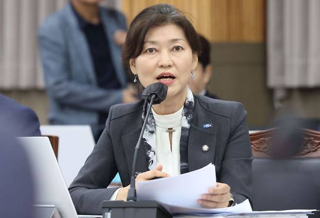 조국혁신당 강경숙 의원. 연합뉴스