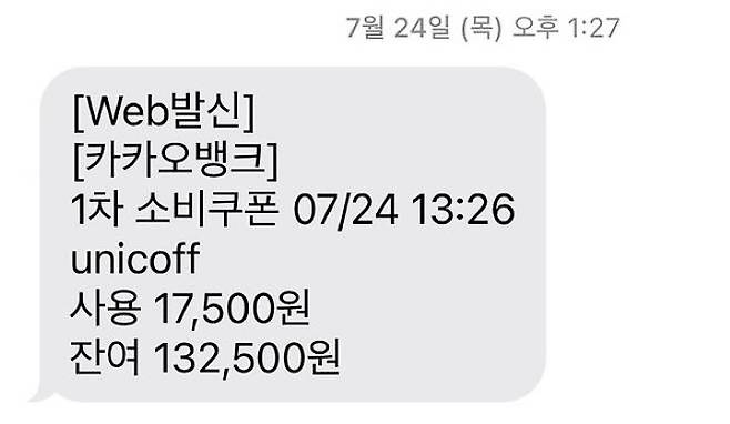 지원금 사용 시 바로 문자를 통해 받을 수 있던 사용금액/잔여금액 안내.