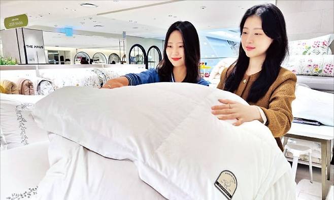 서울 소공동 롯데백화점 본점 8층 홈패션 매장에서 고객들이 구스침구를 고르고 있다. /롯데백화점 제공