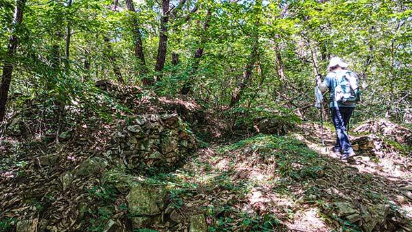 한국전쟁 이후 구축된 방어진지 터.