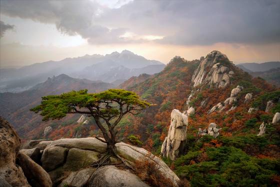 Mount Dobongsan [GETTY IMAGES BANK]