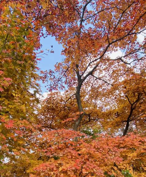 Mount Cheonggye [SCREEN CAPTURE]