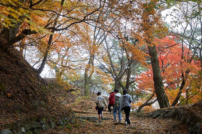 A hiking trail at Mount Namhan [JOONGANG ILBO]