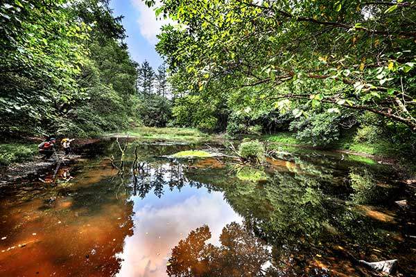 해발 788m 능선의 완만한 터인 '성안'의 비경인 '성안 연못'. 할딱고개 코스는 등산객이 줄지어 오르내리지만, 성안 코스에서는 한 명도 마주치지 못했다. 고요가 깊이 내려앉은 호수의 매력에 취해 한참을 바라보았다.