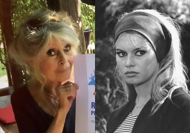 브리짓 바르도의 근황 사진(왼)과 과거 영화 출연 사진. 사진|브리짓 바르도 SNS, 영화 ‘사랑과 경멸’ 스틸컷