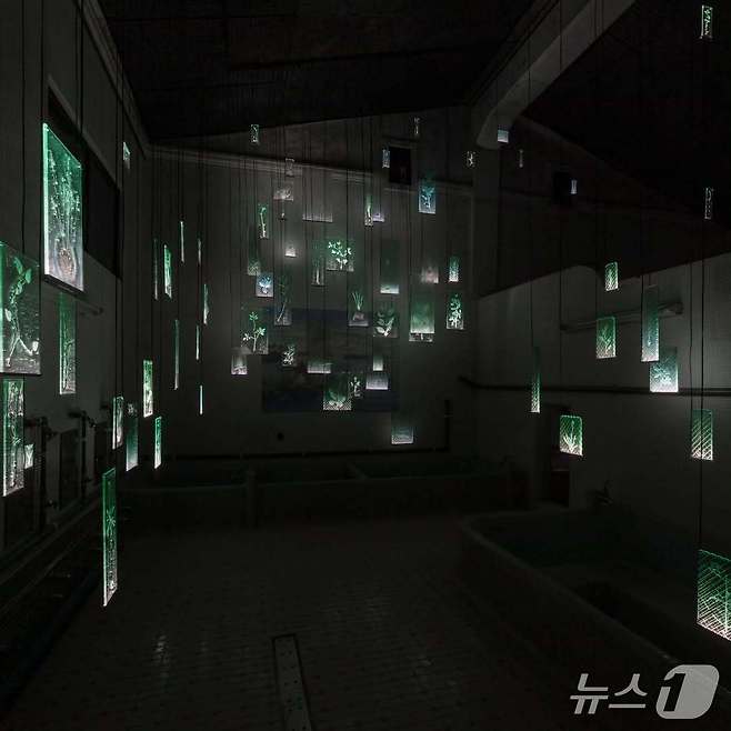 일본 '아이치 트리엔날레'에 전시된 유리작가 사사키 루이의 설치작품 '잊히지 않는 존재' ⓒ 뉴스1