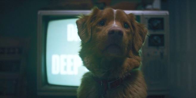 영화 '굿 보이'의 한 장면. 찬란 제공