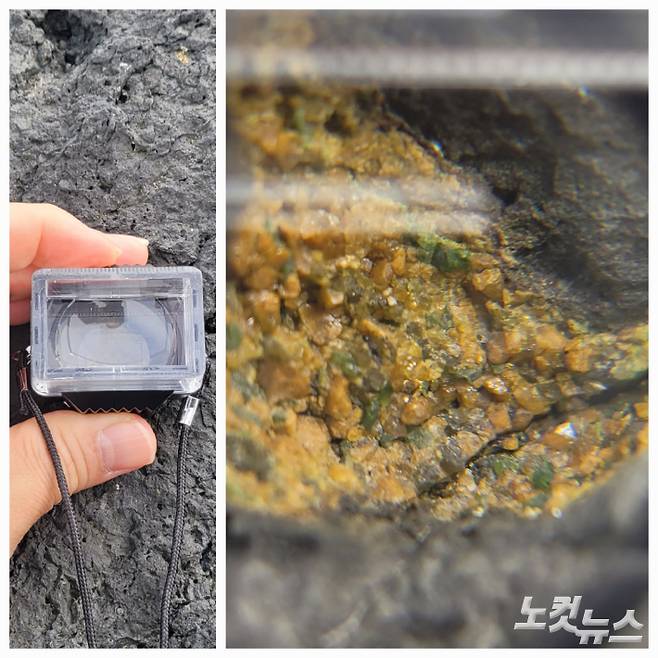 천연기념물인 백령도 진촌리 현무암 지대에서 볼 수 있는 8월의 보석 페리도트의 알갱이를 확대한 모습이다. 지구 내부 지질변화 등을 연구할 수 있는 귀한 물질이다. 박창주 기자