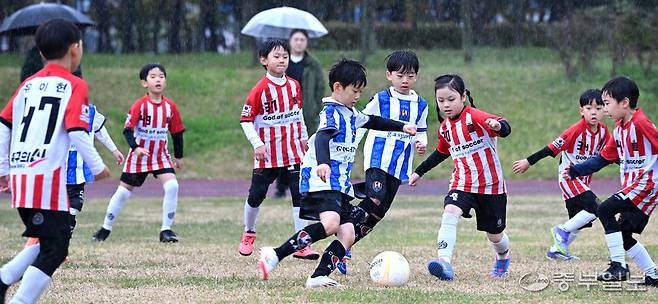 26일 인천시 연수구 인천환경공단 송도스포츠파크 솔바람공원 천연잔디구장에서 열린 제7회 중부일보사장배 유소년 축구대회에서 선수들이 골을 다투고 있다.정선식기자