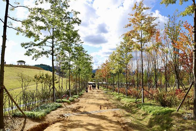 충주 시민의 숲 조성 사진.(충주시 제공)