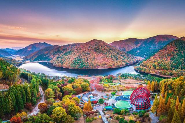 남해힐링숲타운 모습. 단풍여행 명소로 꼽힌다. 남해군 제공