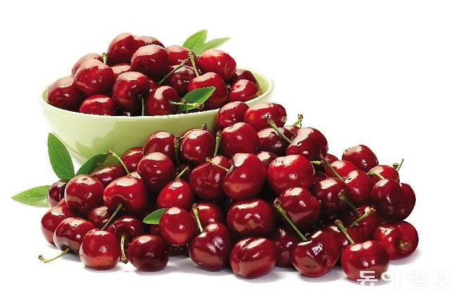 염증 질환 및 수면에 도움을 주는 체리. 동아일보 DB