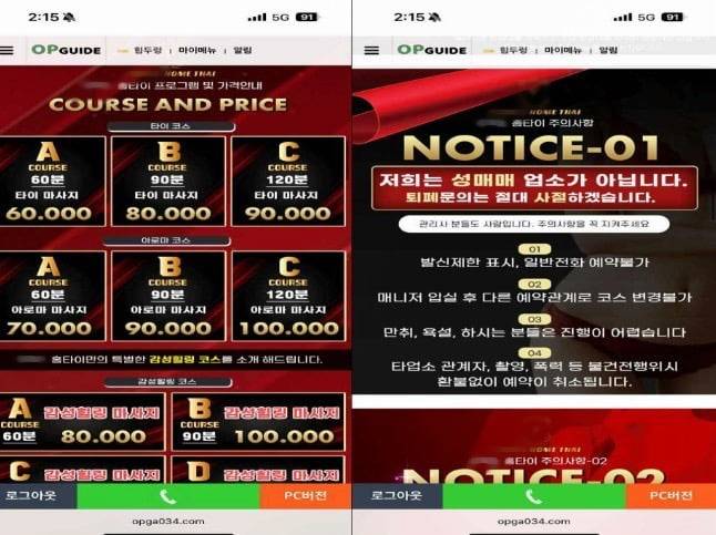 A씨 일당이 '출장 마사지'를 위장해 성매매 업소를 홍보하던 인터넷 페이지./서울경찰청 제공