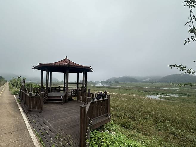 A foggy start to the day in rural Mungyeong, North Gyeongsang, on Sept. 30.  [JIM BULLEY]
