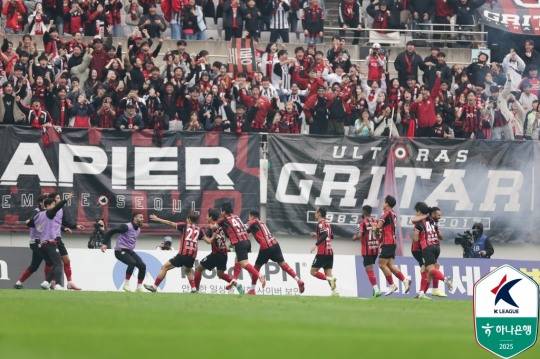 류재문의 역전 결승골에 환호하는 FC서울 선수들. 사진[연합뉴스]