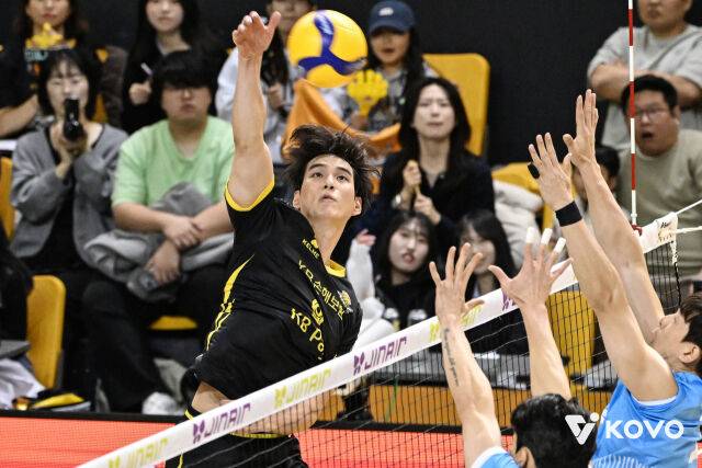 KB손해보험 임성진./KOVO