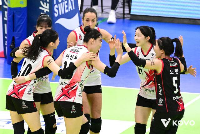 정관장 배구단./KOVO