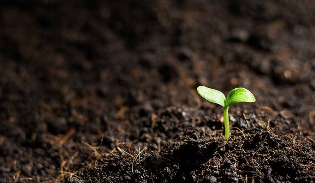 클립아트코리아