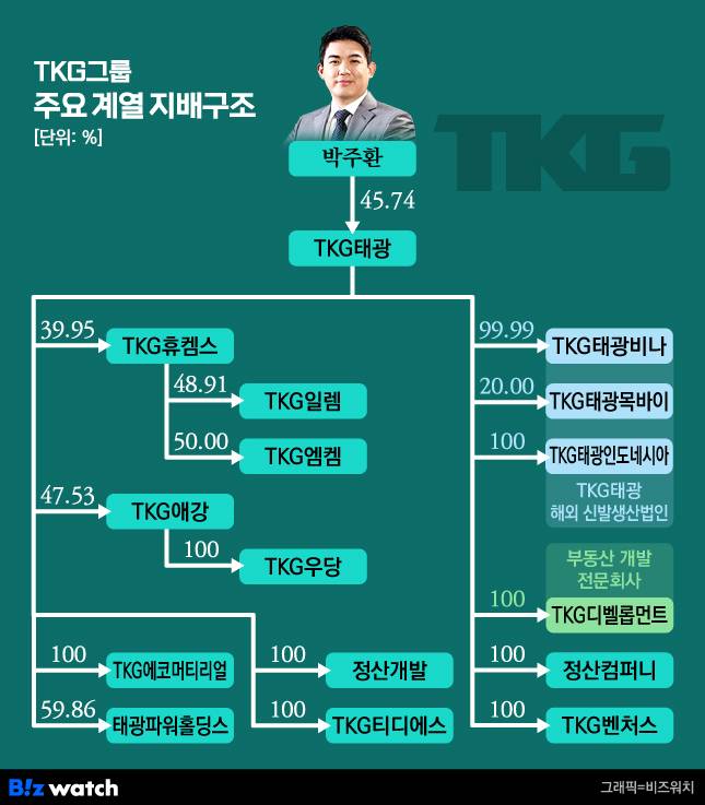 TKG그룹 주요 계열 지배구조
