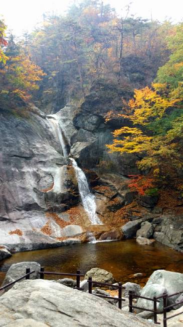 ▲ 소금강 구룡폭포의 단풍