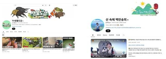 국립공원공단 홍보대사로 위촉된 김준영의 ‘TV생물도감’과 백송희의 ‘산속에백만송희’ 유튜브 메인화면[국립공원공단 제공]
