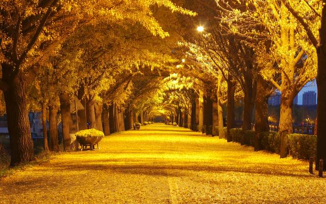 아산시 문화관광 누리집