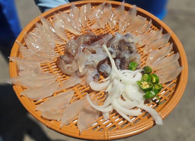 지난 8월 강원 속초시 ‘오징어 난전’에서 판매한 5만 6000원짜리 오징어 두 마리. 속초시청 홈페이지 자유게시판 캡처