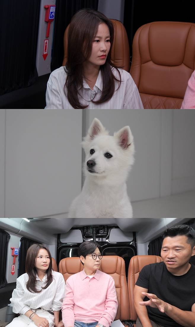 채널A