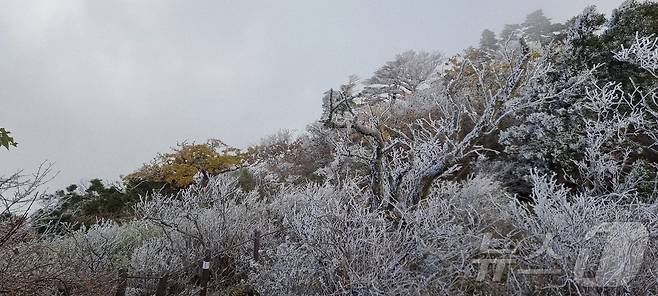 28일 아침 06시 40분 전북 무주군 덕유산 설천봉은 기온이 영하 5.3도까지 떨어지고, 94%의 습도가 형성되면서 덕유산 향적봉(1614m), 대피소 등 주능선에 상고대가 생성됐다.(덕유산사무소 제공. 재판매 및 DB금지)2025.10.28/뉴스1 ⓒ News1 김동규 기자