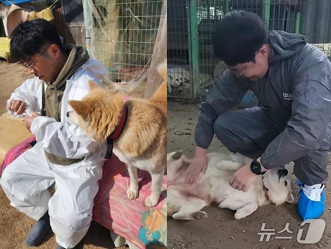 私は韓国獣医師心臓協会の避難所でボランティア活動をしています（協会提供）。 ⓒニュース1